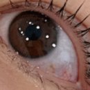 더모먼트 이미지