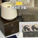 나무타는고양이 구경하는강아지 | FLUFF 플러프 반려동물아로마테라피 펫캔들 사용후기 강아지캔들 고양이캔들 추천