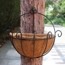 코코넛 잡화점 이미지