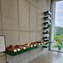 모우목장 | 대구 근교 드라이브 다녀온 청도 < 소우모우 > 카페 식물복합공간