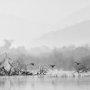 에이치gallery 이미지