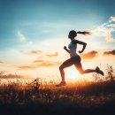 웨이트랩 이미지