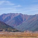 죽림신우희가로A 앞 삼거리 구간 | 전라도 담양여행 가볼만한곳