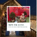 검단신도시, 계양역, 아라뱃길 카페, 크리스마스...추천 아이들과 방문하기 좋은 계양역 모모아트 카페