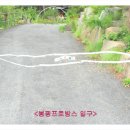 봉평 프로방스 | 봉평 프로방스 펜션 후기 (39)