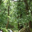 병풍사주차장 이미지