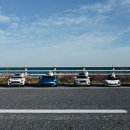 랙돌 캐터리 아이돌스(IDOLLS) 이미지