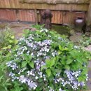 길섶나그네휴양펜션 이미지