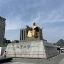 멍마실 | 2026 광화문 멍때리기대회 모두가 자신의 무가치함과 싸우고있다 참여후기