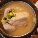 경복궁 삼계탕 티스토리