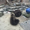 전주동물원 이미지