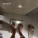 쏘주카페 | 다이어트환 체감환 플러스 신논현역 다이어트 본식 전 예신 추천 -3kg 감량 성공 후기