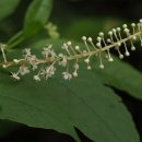 학산농장 이미지