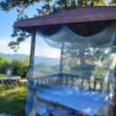 배가정원민박 이미지