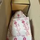 농장풀물 | 꽃 배송은 [유스풀물]🌷💗