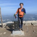 개림초등학교 이미지