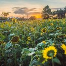 천지농장 이미지