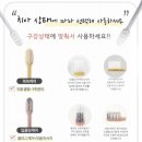 올쏘플러스 이미지