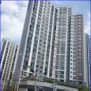 뉴코아아울렛 앞 횡단보도 이미지