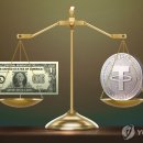 스테이블 이미지