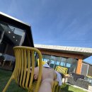 힐스톤애견풀빌라 이미지