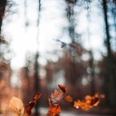 박재영치과의원 이미지