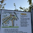 규리네밤하늘 | 포항 캠핑장 추천🎪 경안글로브 할로윈캠핑🎃2박3일 후기