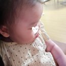 아이사랑두헬멧 대전센터 | 단두, 사두 두상교정헬멧 아이사랑두에서(추천인 O, 사례 O)