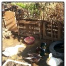 원농장1 이미지