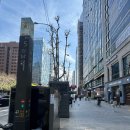 강남회관 | 강남역 점심 맛집 추천 보승회관 강남역서초점 모둠수육 후기