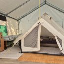 힐링애견 이미지