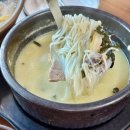 서귀포시청 제1청사 주차장 | 제주도 시내 서귀포 아침식사 유채꽃도 식후경