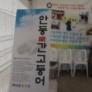 류사장안동고등어빵
