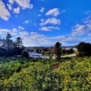 토산초등학교 병설유치원 이미지