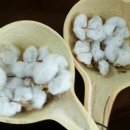 강강술래(소리와의  이미지