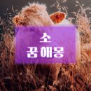 하얀소