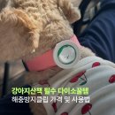 펫미용소모품 | 강아지산책 필수 다이소꿀템 헬로마이펫 해충방지클립 후기