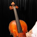 바이올린 이미지