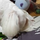 울엄마간식 이미지