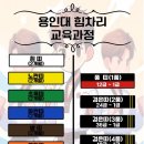 용인대스타태권도 이미지