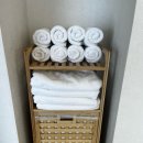 제주 인 포항 이미지