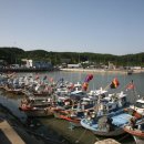 채석포항 이미지