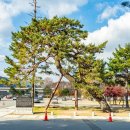 하동체육시설사업소 이미지