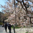 남목초교 이미지