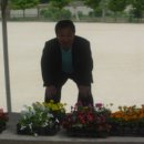금천리경로당 Daum카페