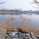 수원팔색길 효행길 이미지
