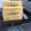 퍼피홀릭 이미지