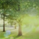 산림놀이 화장실 이미지