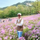 불암산나비정원 이미지