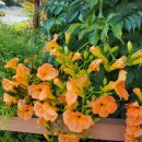 용사목장 이미지